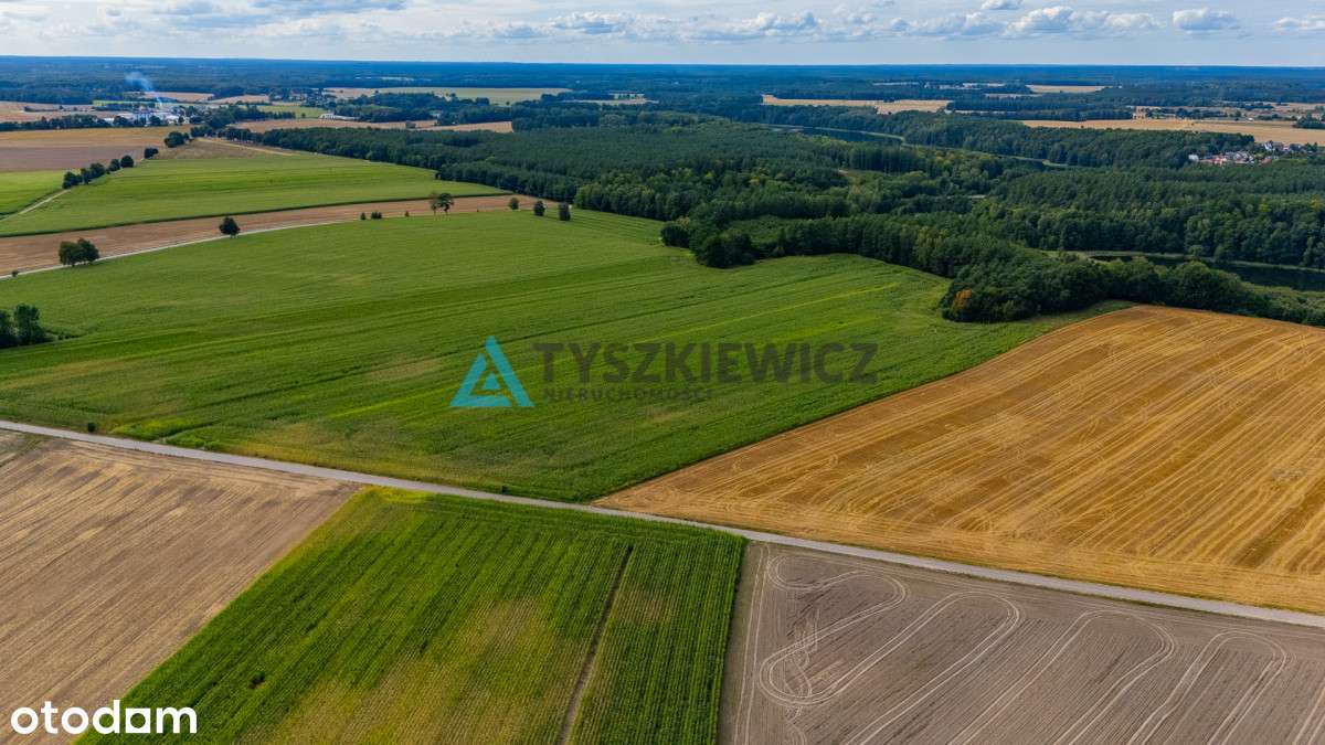 Działka Rolna 2.8949 ha- Lisewo gmina Przechlewo - Pełny obrazek: 4/7