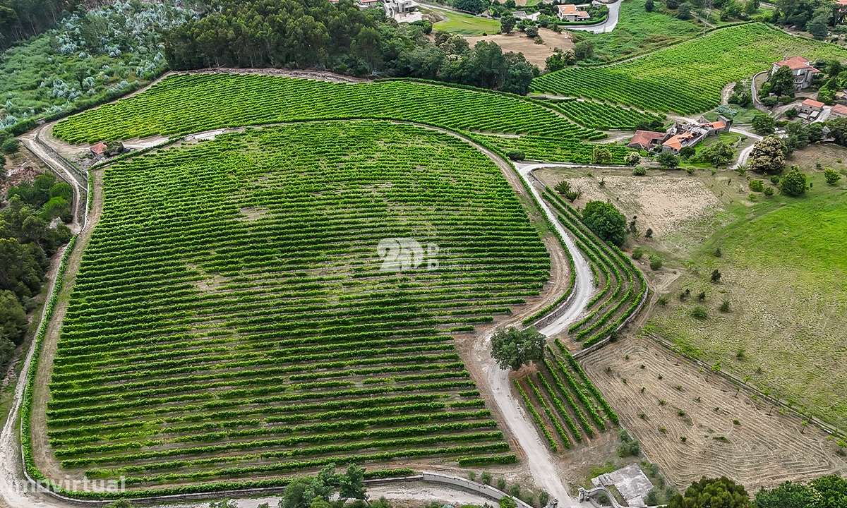 Quinta 80.000m² - Monte Córdova - Grande imagem: 2/11