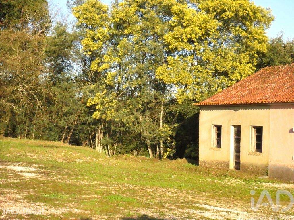 Casa T2 em Tomar (São João Baptista) e Santa Maria dos Olivais de 44,0 - Grande imagem: 5/20