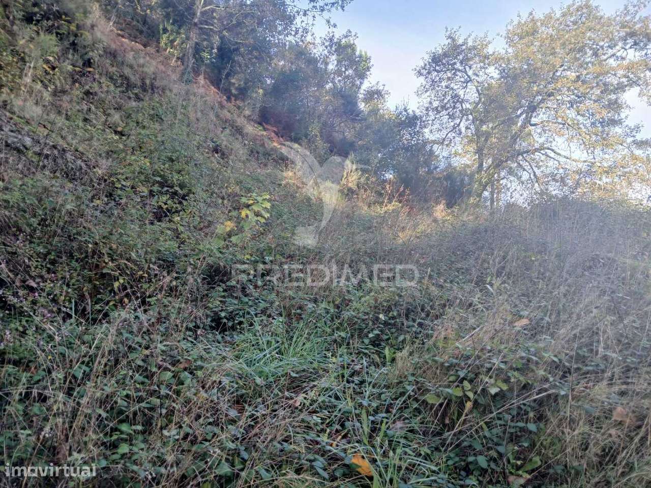 Terreno de Construção em Exclusivo – Vieira do Minho - Grande imagem: 5/6