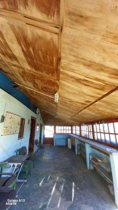 0% COMISION!!! CASA CU LAC IN INIMA PADURII  - DEALU BRADULUI-13