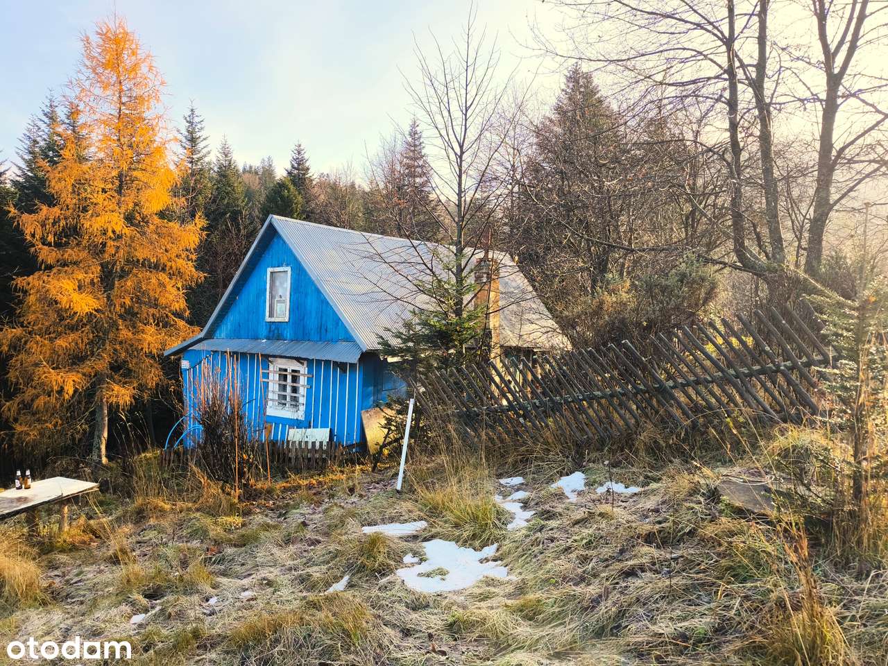 Duża widokowa działka 44,8a z domem | Beskidy Korbielów | bez sąsiadów - Pełny obrazek: 3/20