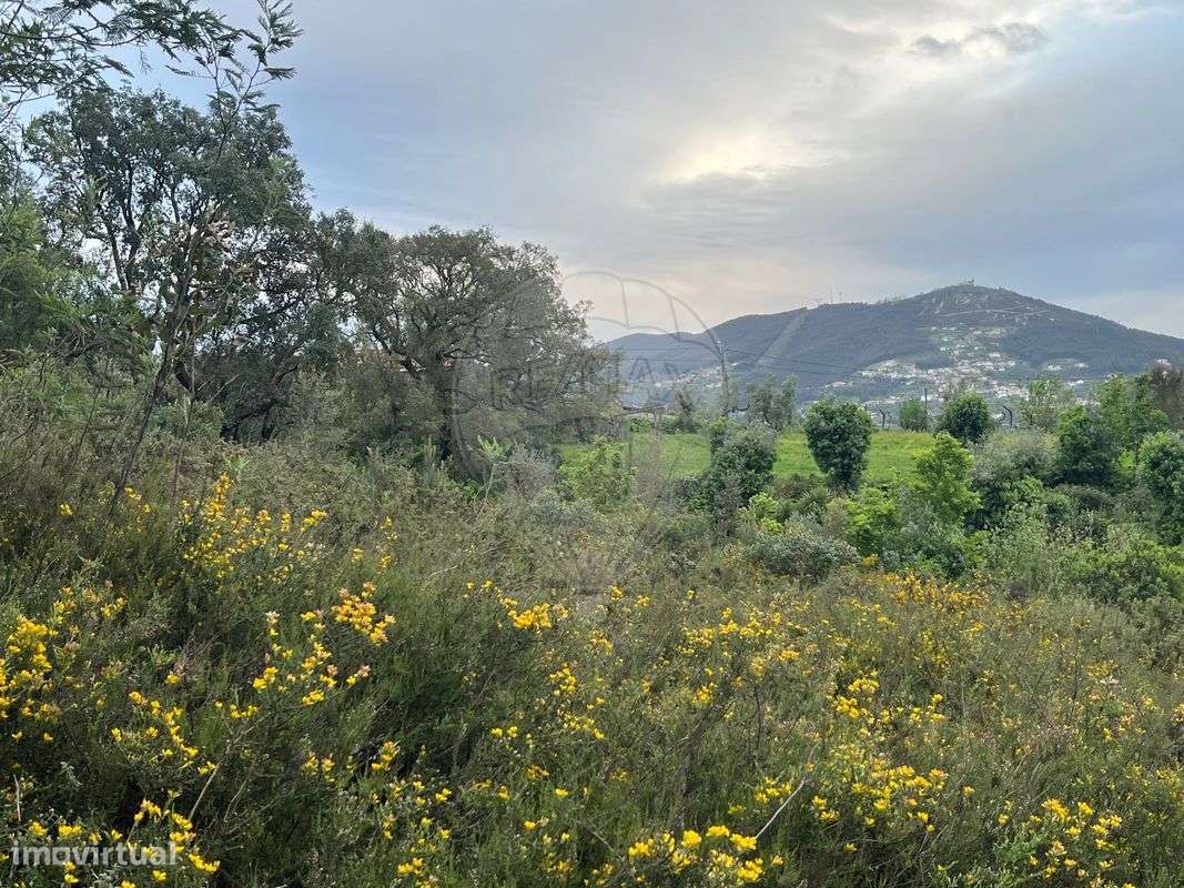 Terreno  para venda - Grande imagem: 4/7