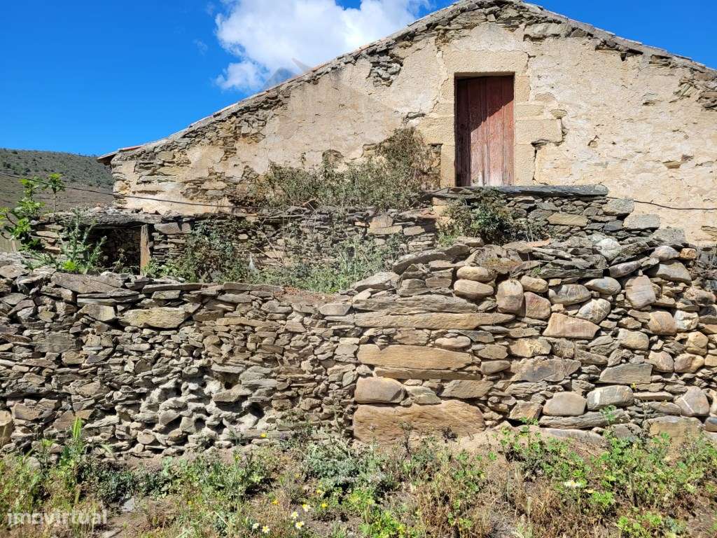 QUINTA COM VINHA - FIGUEIRA DE CASTELO RODRIGO-15