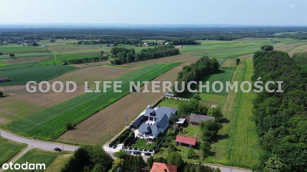 Sprzedaż, Gospodarstwo, Dom, Kopanie Żołyńskie - Pełny obrazek: 5/20