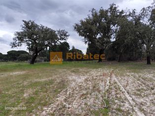 Terreno com viabilidade de construção - Grande imagem: 5/7