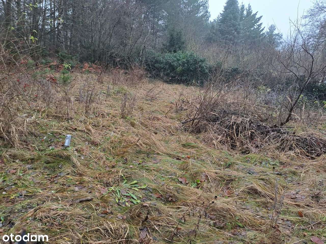 Działka w Zofiówce, idealna na wypoczynek blisko Łodzi - Pełny obrazek: 2/9