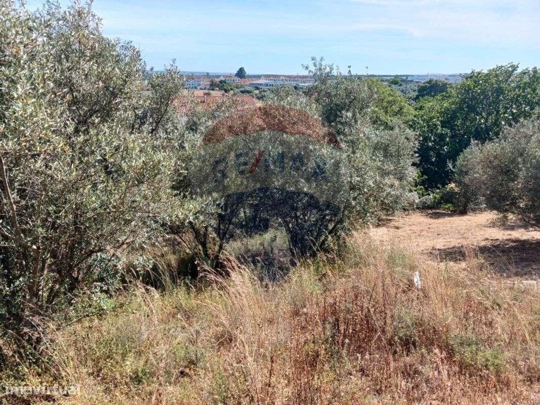 Terreno  para venda - Grande imagem: 2/8