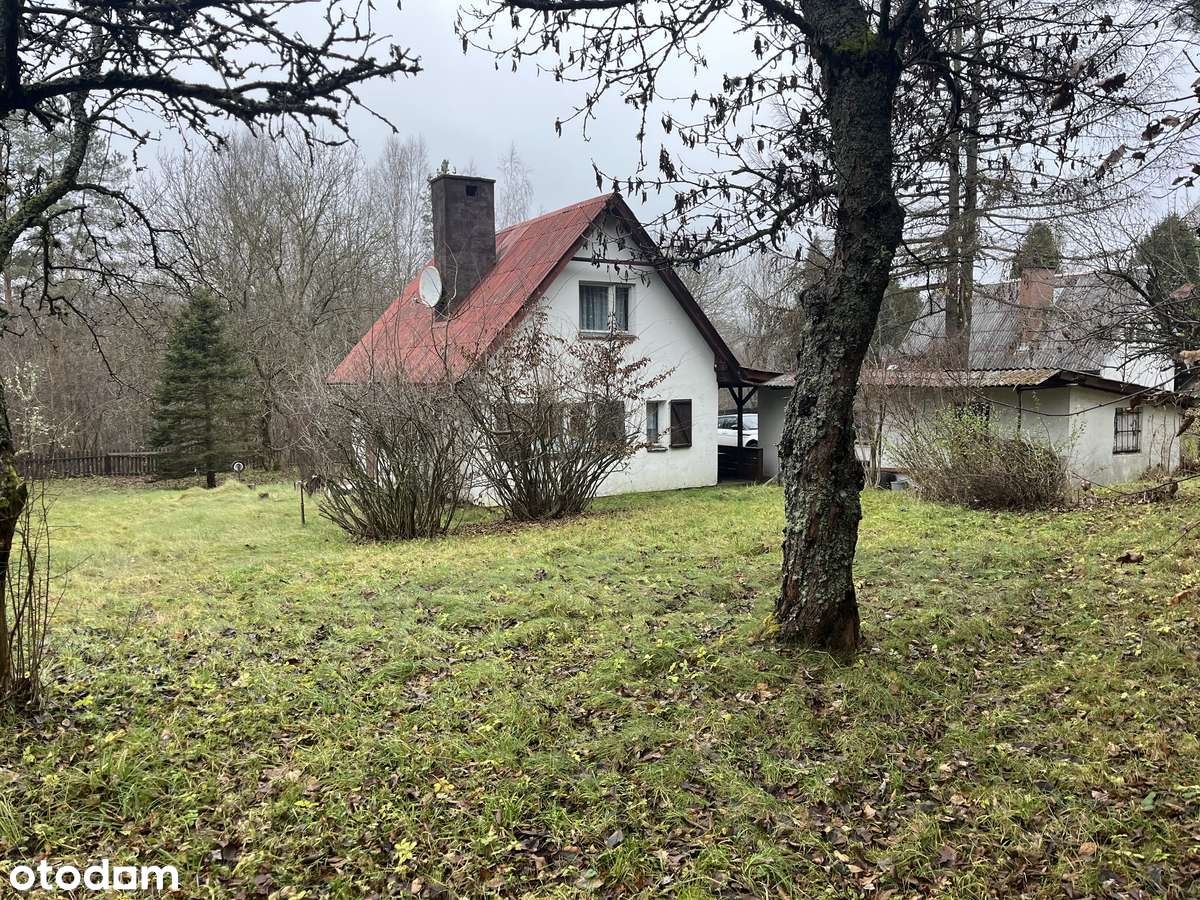 Domek Letniskowy / rzeka / las - Pełny obrazek: 5/7