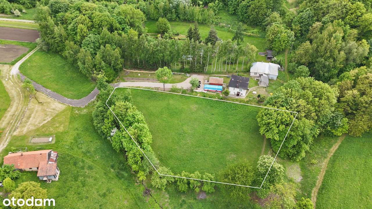 Działka w Golkowicach z pięknym otoczeniem - Pełny obrazek: 4/9