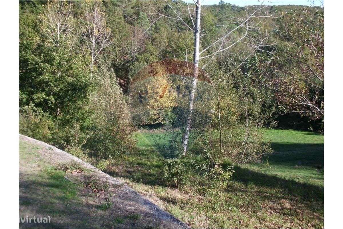 Terreno  para venda - Grande imagem: 4/10