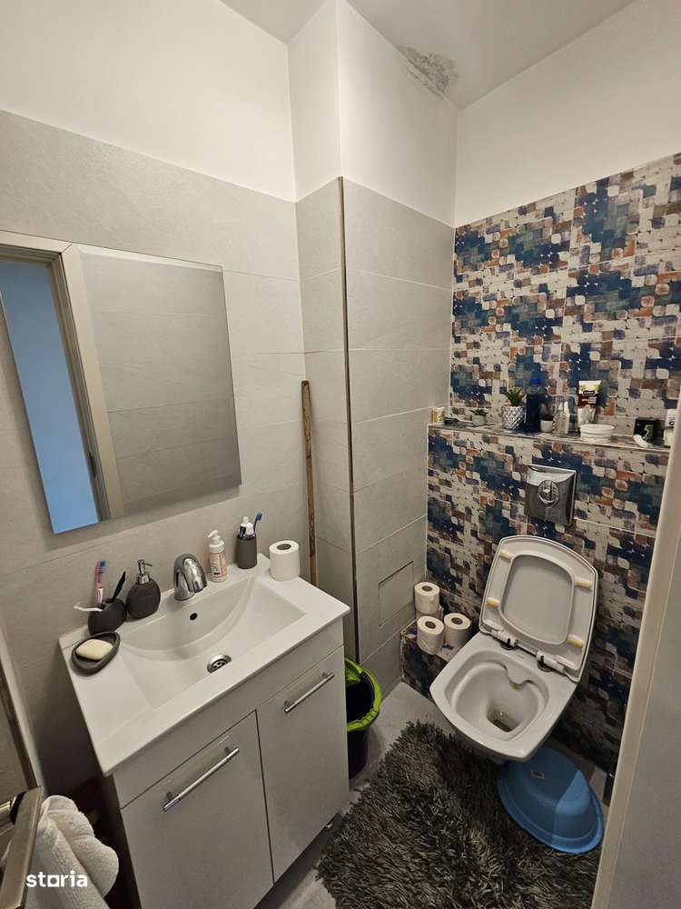 Apartament 3 camere Piata Alba Iulia | Unirii | Decebal-11