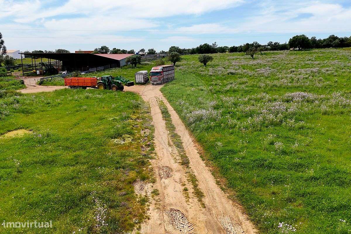 Terreno  para venda-9