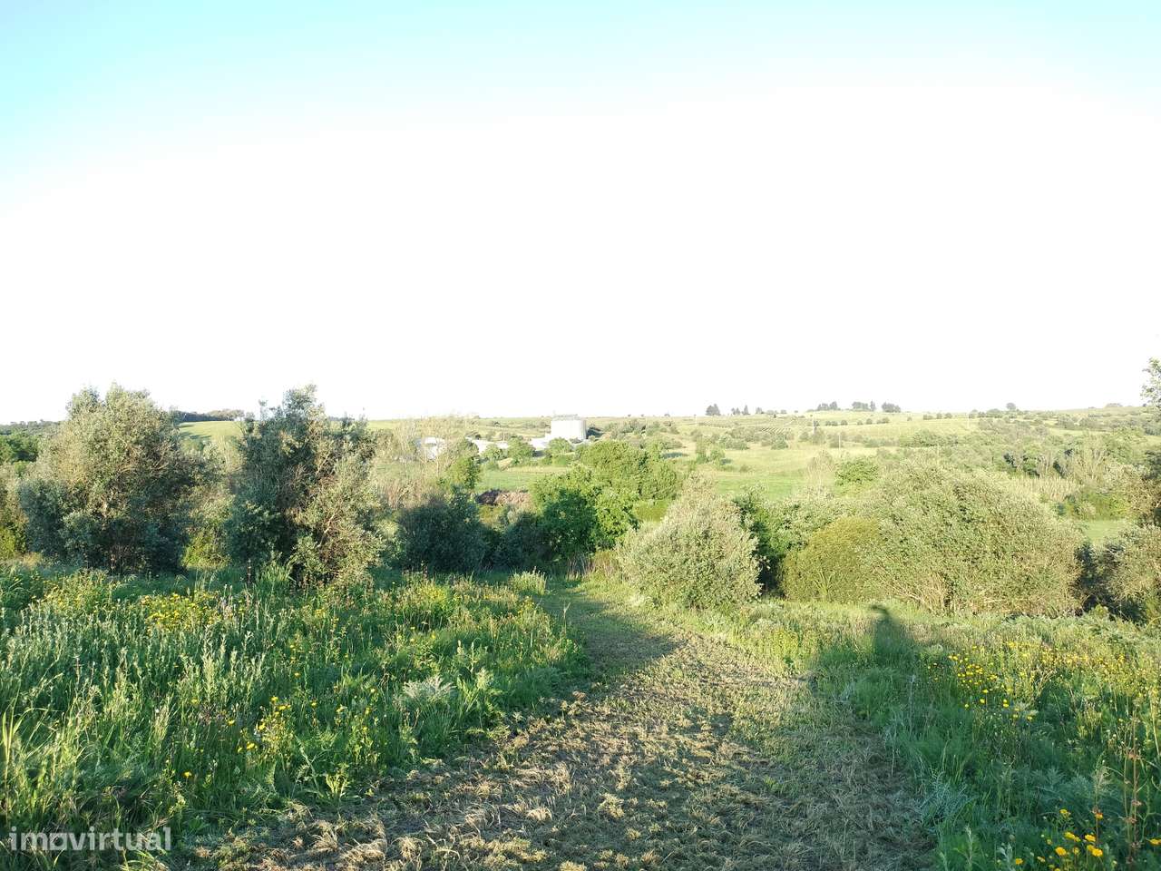 Terreno, 12 560 m², Alcanhões - Grande imagem: 5/9