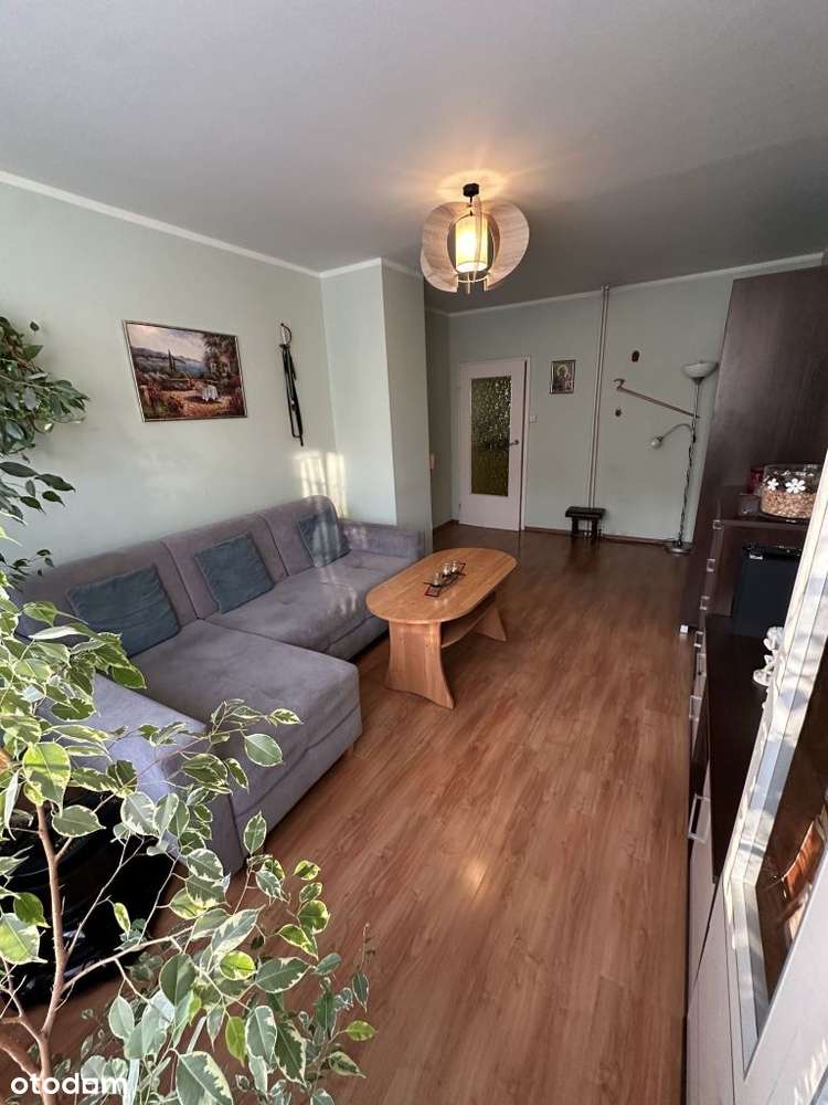 Przestronne 3 pokoje w Brzęczkowicach!-10