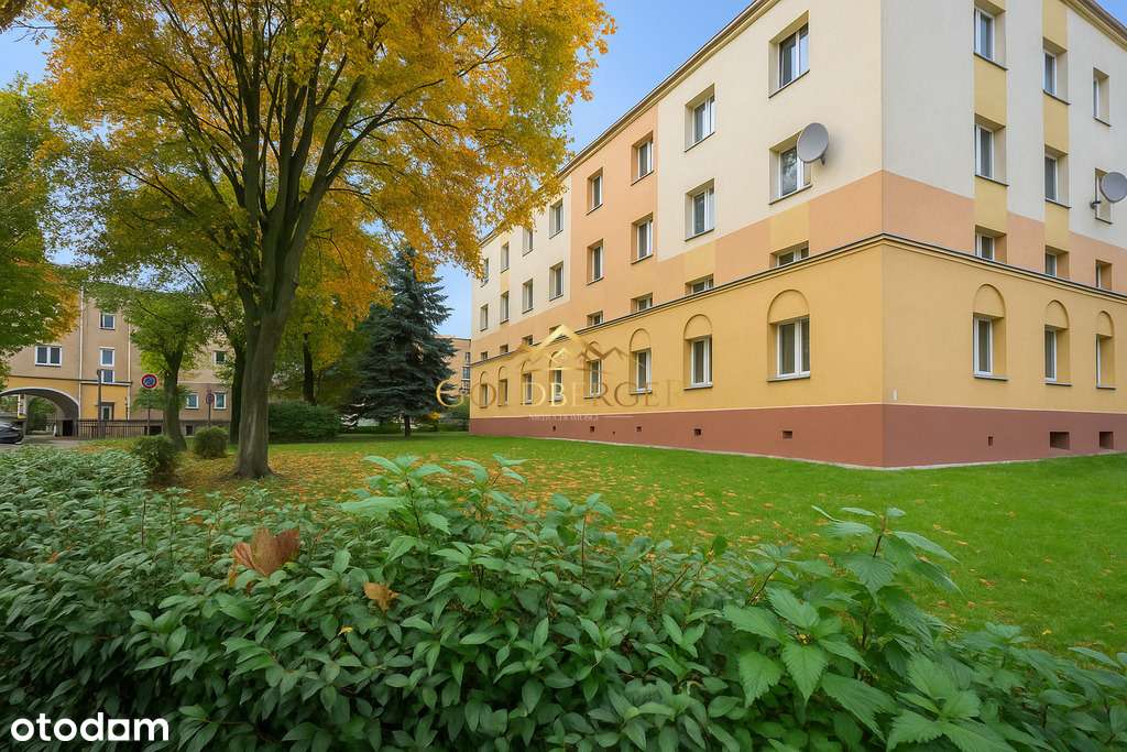 Okazja! Jasne i ustawne mieszkanie na Dębcu! - Pełny obrazek: 1/18