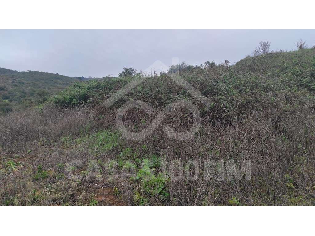 TERRENO RÚSTICO COM VIABILIDADE DE CONSTRUÇÃO - Grande imagem: 2/5