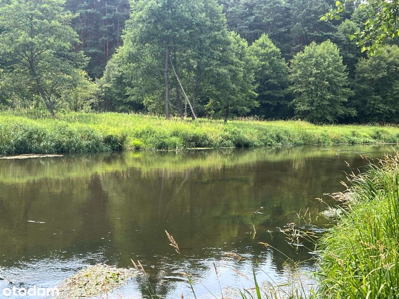 Działki rekreacyjne nad rzeką Wartą-możliwe raty!-9