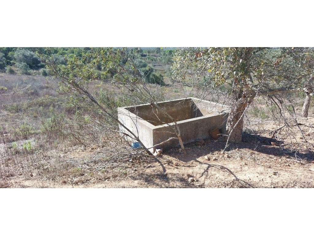 QUINTA, vista mar (5.575ha)-9