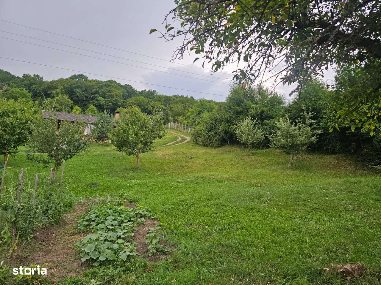 Teren 1.16 ha Valea Rusului – curent, 2 fântâni, căsuță + foișor-9