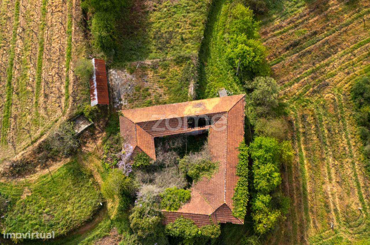 Quinta com 8 Hectares de terreno, em Sobrosa, Paredes - Grande imagem: 4/15