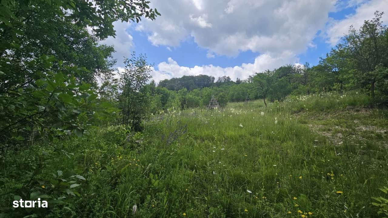 Teren de vanzare in Valea Doftanei - Imagine principală: 3/5