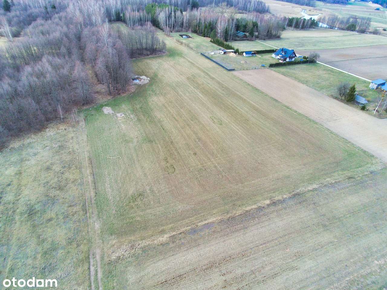Maćkowa Ruda gm. Krasnopol - działka na sprzedaż-2