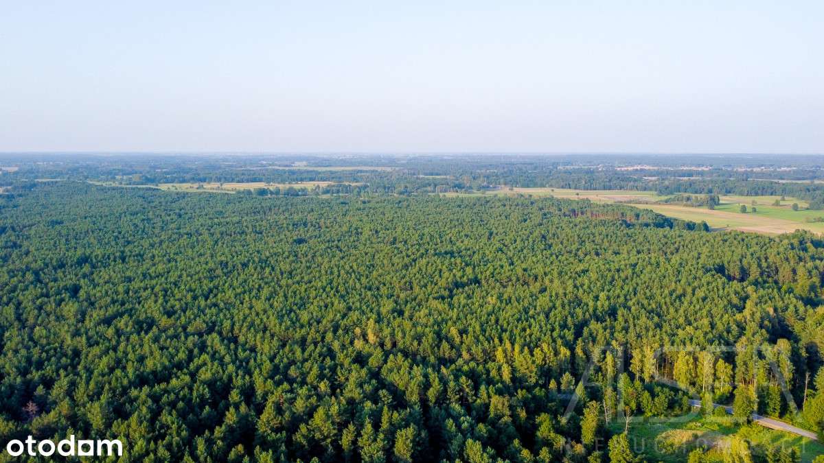 Naturalny zbiornik wodny z bezpośrednim dostępem - Pełny obrazek: 4/18