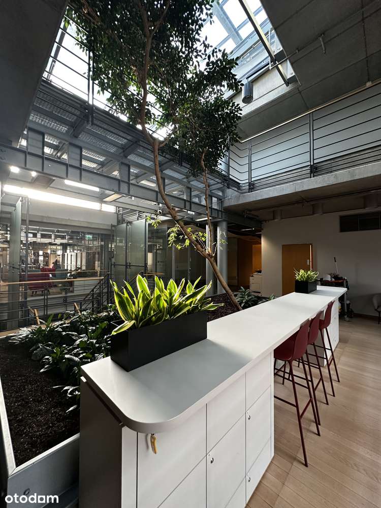 Czerska Biura 200-550m2 gotowe do pracy, tarasy, elastyczne umowy - Pełny obrazek: 5/14