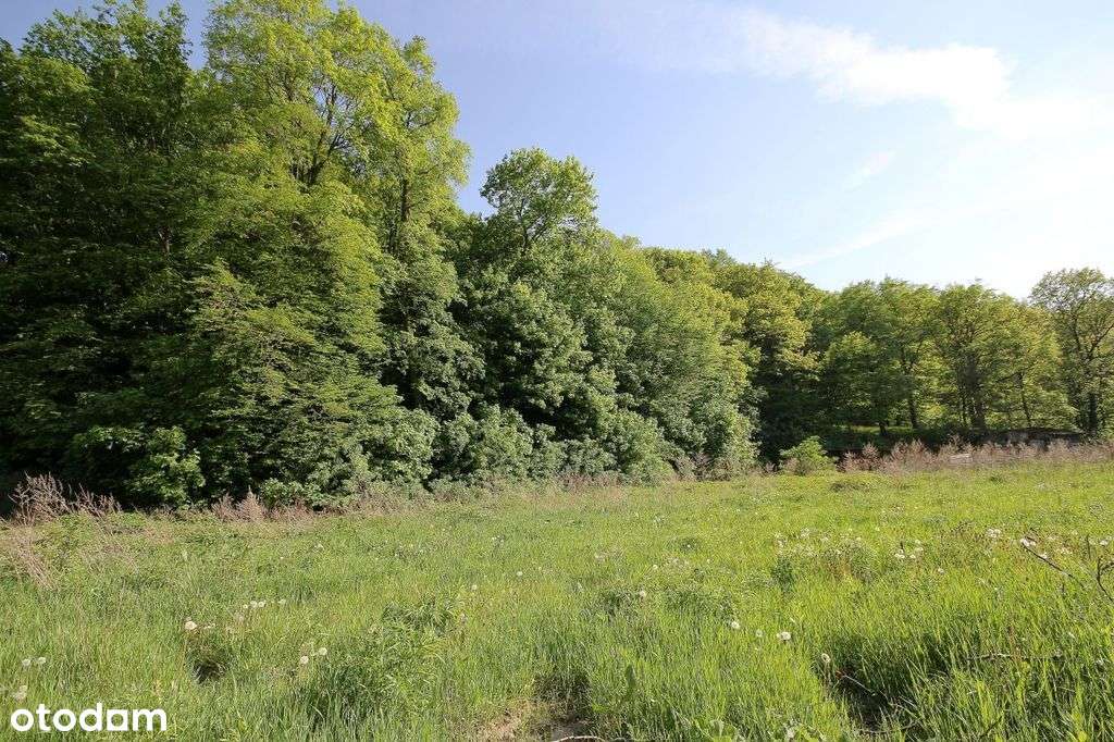 Wspaniała krajobrazowa działka budowlana - Pełny obrazek: 5/5