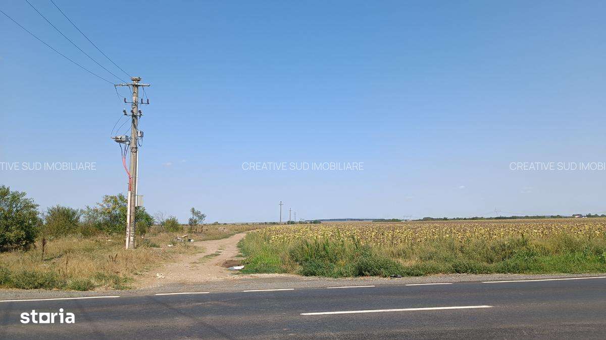 Terenuri Intravilane Industriale - 50 E mp - Sos. Oltenitei DN 4 / A0 - Imagine principală: 5/8