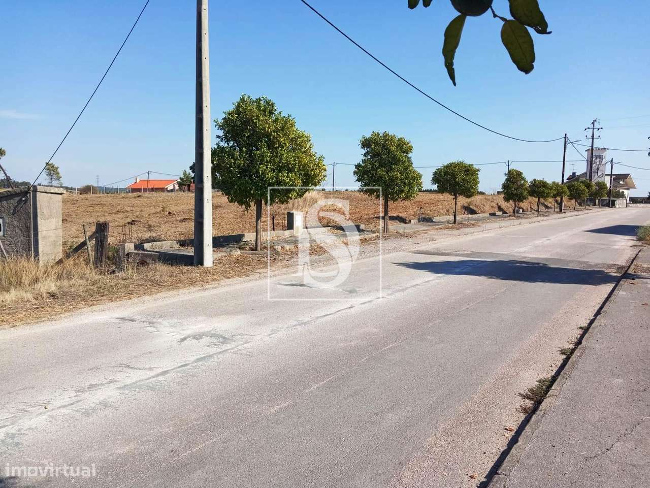Terreno  Venda em São Pedro de Tomar,Tomar-8