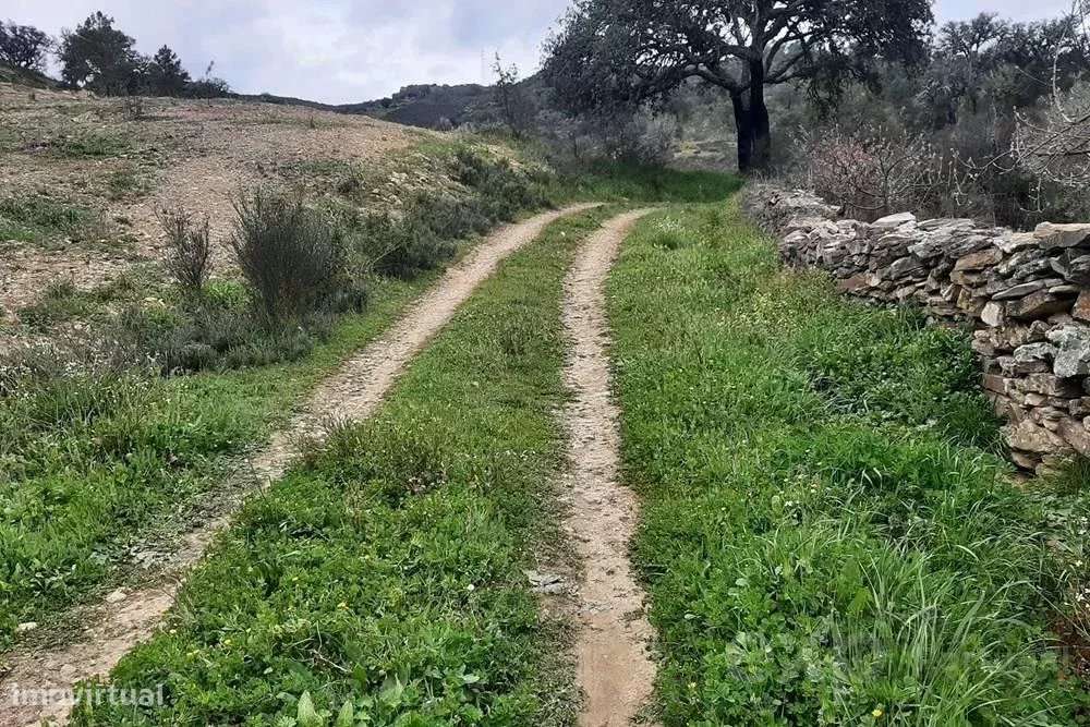 Terrenos Rústicos em Mirandela - Grande imagem: 5/13
