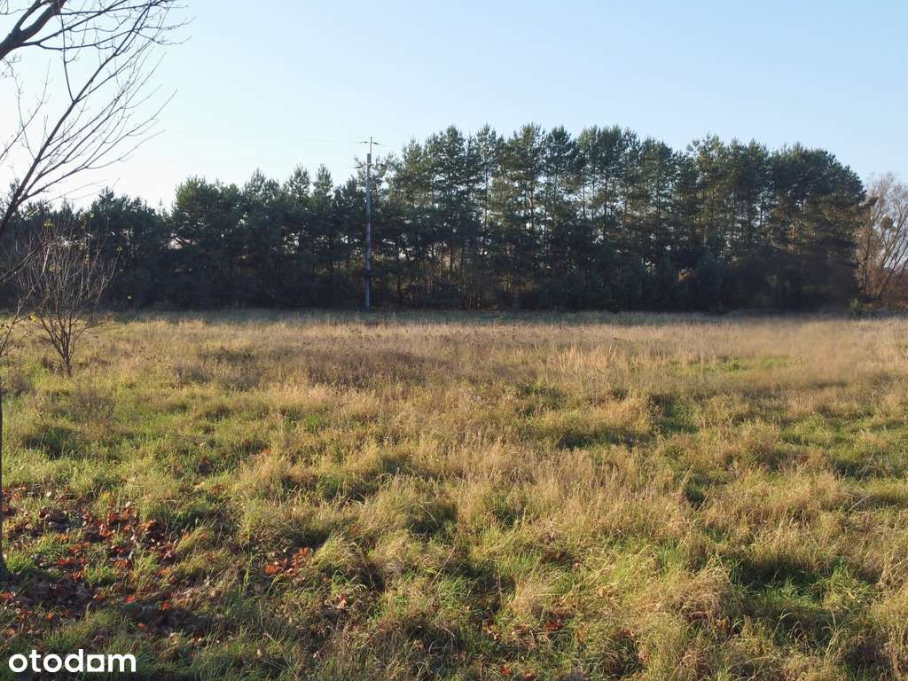 Działka budowlana MPZP | Sierosław | 1584 m2 - Pełny obrazek: 1/7