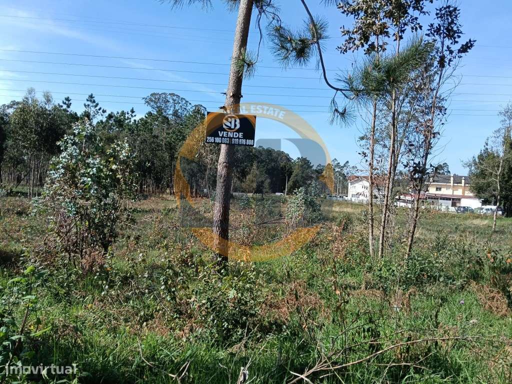 Terreno Santa Maria da Feira - Grande imagem: 4/9