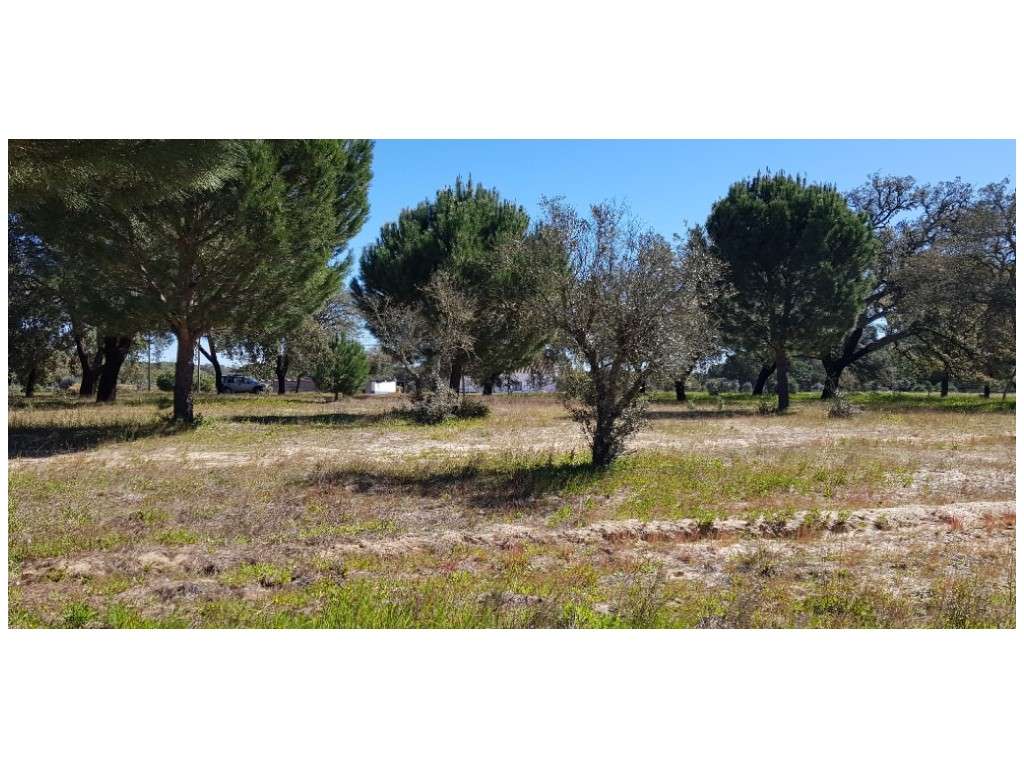 TERRENO (2,38ha) a 30 Km das Praias. - Grande imagem: 2/11