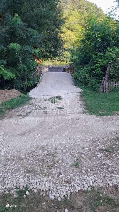 Teren intravilan 2480 mp | UTILITATI | Fata Pietrii | aproape Transapu - Imagine principală: 4/6