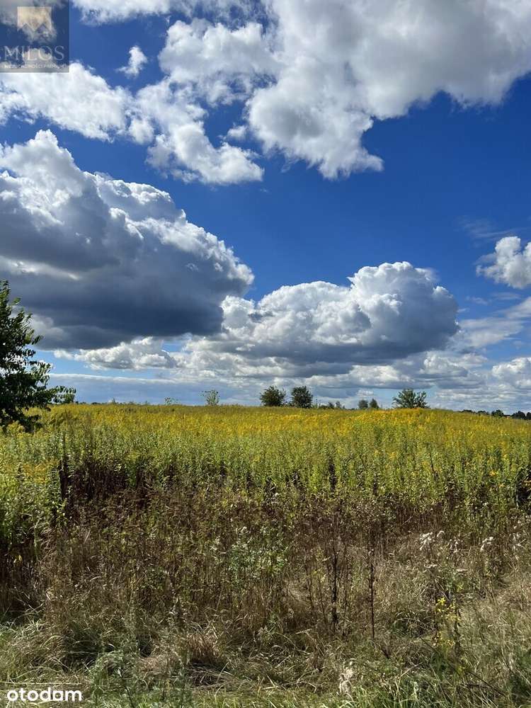 Działka inwestycyjna-2