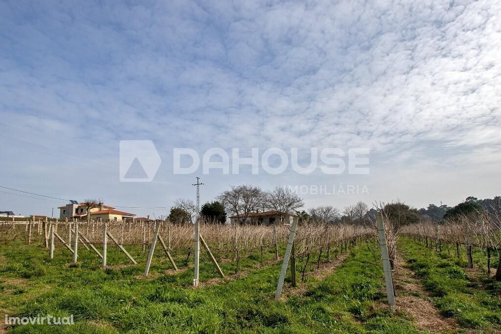 Terreno em Cornes, Vila Nova de Cerveira !!