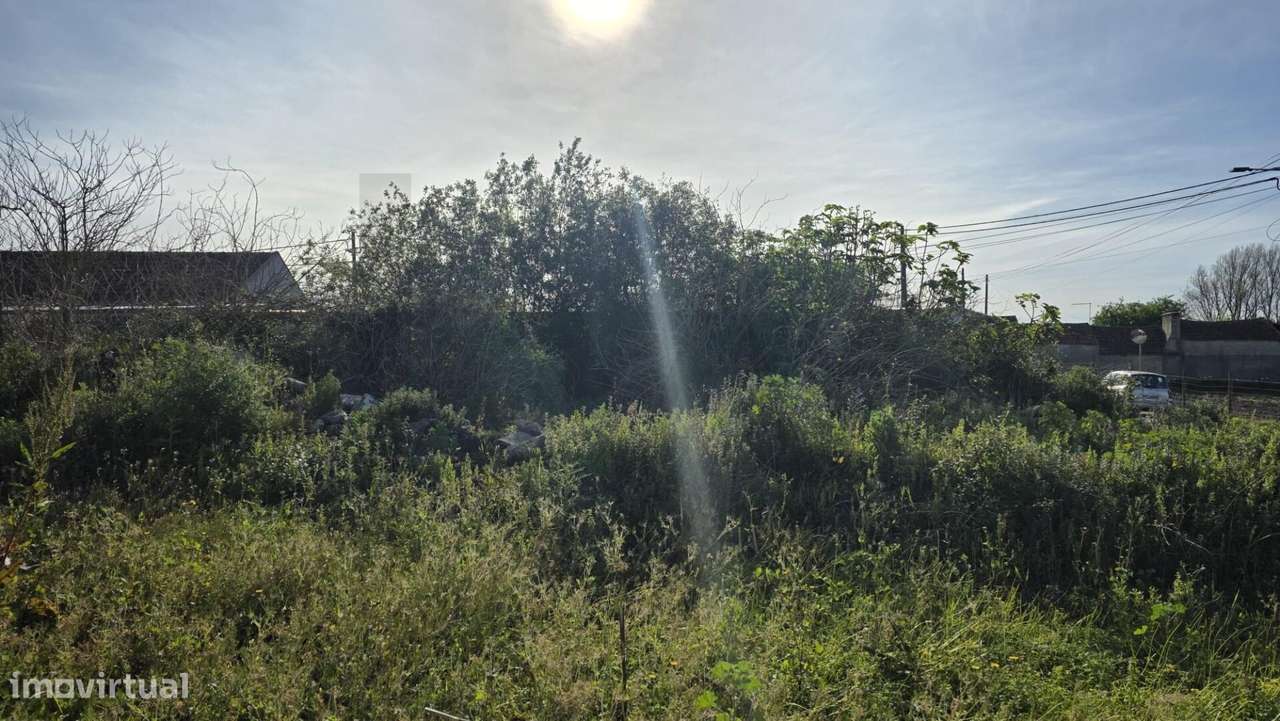 Aqui começa o que ainda não existe - Grande imagem: 2/6