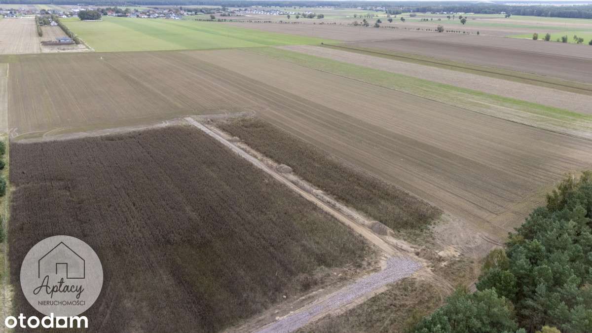 Działka Czmoniec gm. Kórnik - Pełny obrazek: 5/8