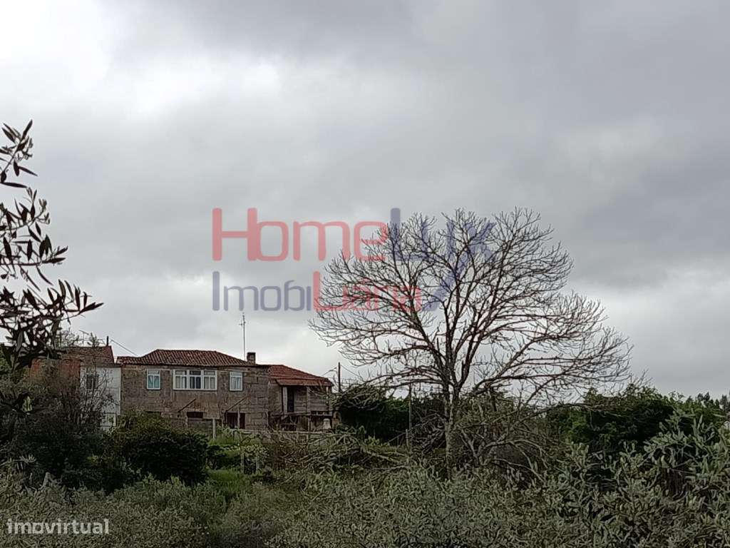 Quinta com Projeto para Turismo Rural em São Pedro do Sul-37