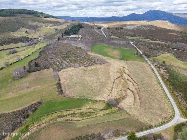 Terreno - Chã, Vila Verde - Grande imagem: 3/3