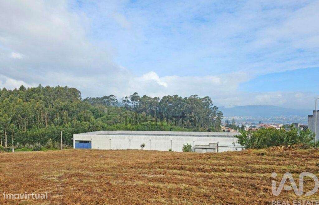 Terreno para construção em Anha de 690,00 m2 - Grande imagem: 2/30