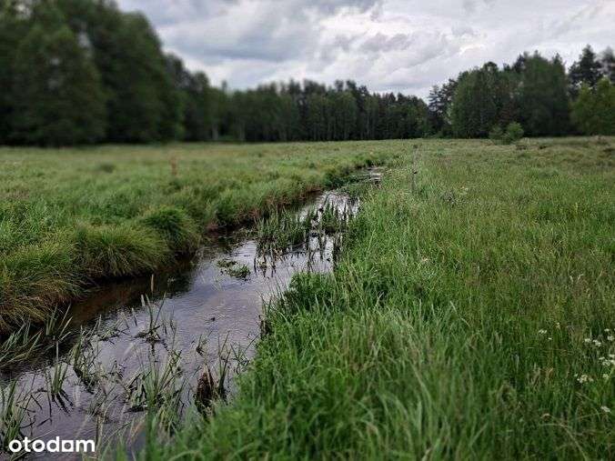 Działka, 10 400 m², Dąg-0