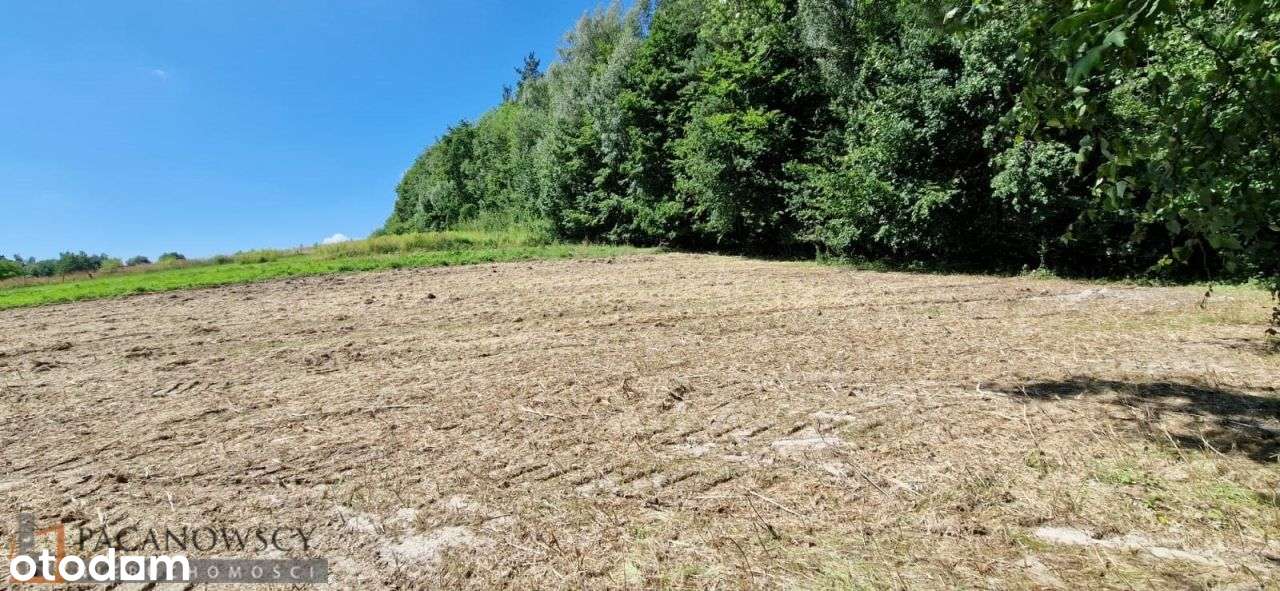 Działka, 2 100 m², Czajowice-7