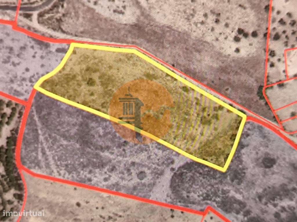 TERRENO COM 7640 M2 JUNTO A ENTRADA DA ALDEIA DE CORTES PEREIRA - A... - Grande imagem: 2/53