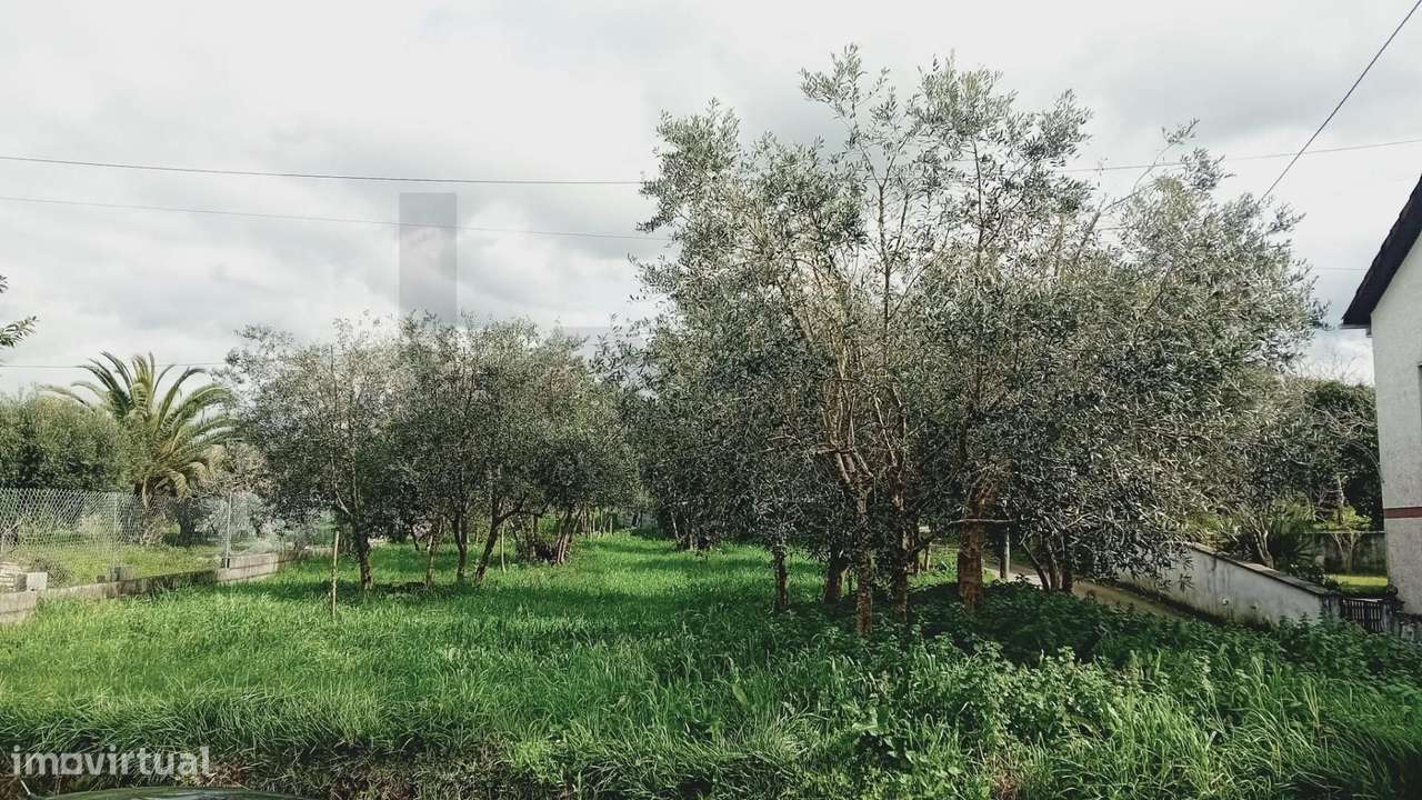 Terreno Rústico em Paleão – 1008m2 com Potencial para Moradia Moderna - Grande imagem: 1/13