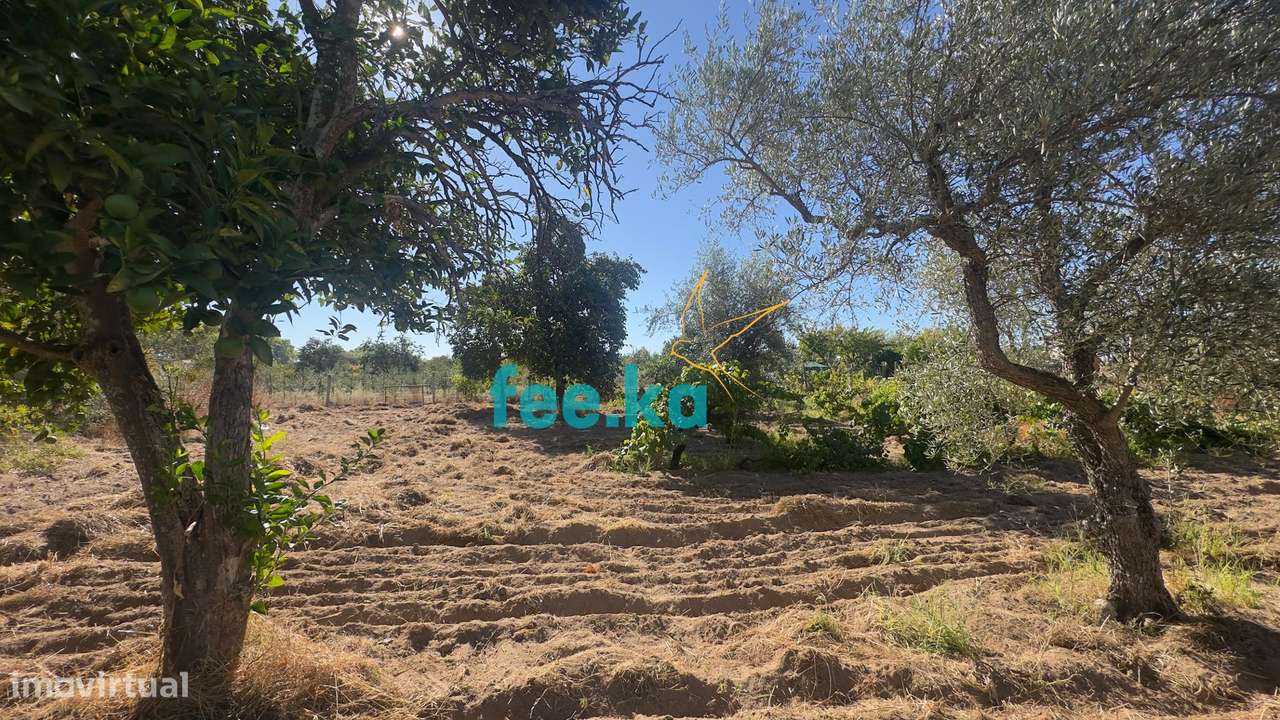 Terreno em Ladoeiro-16