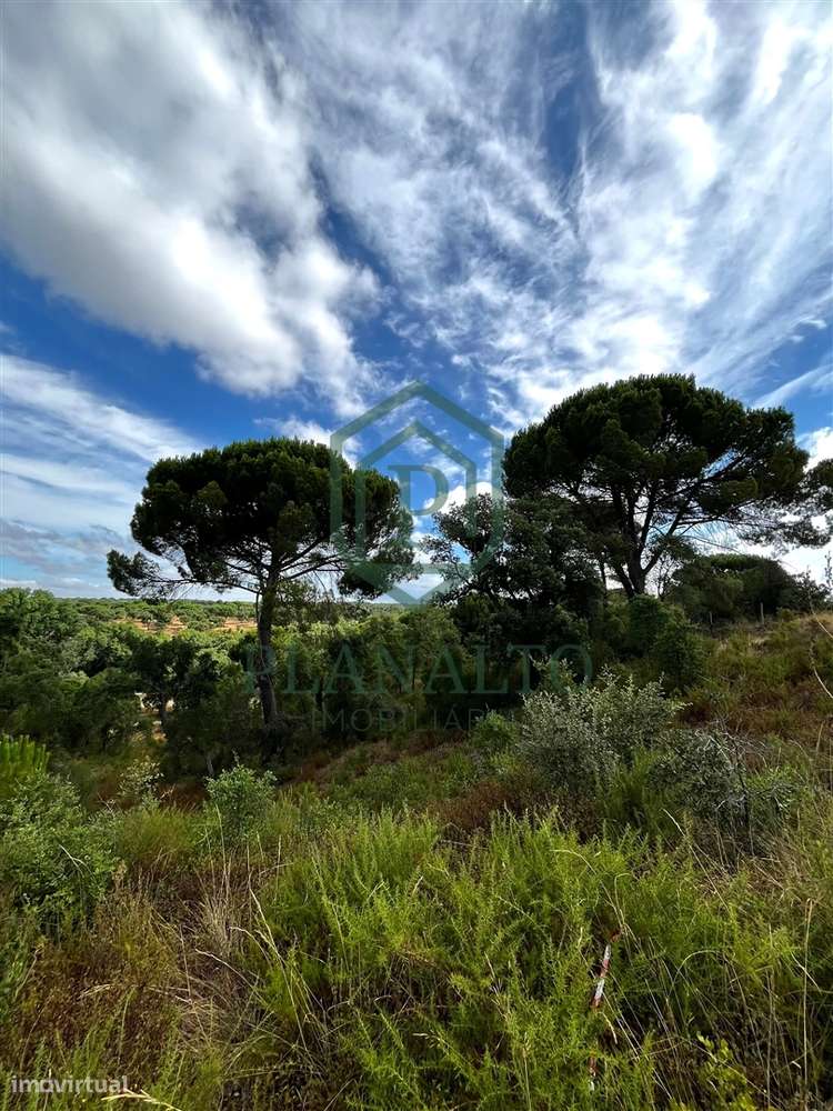 Quinta  Venda em Cortiçadas de Lavre e Lavre,Montemor-o-Novo - Grande imagem: 5/39